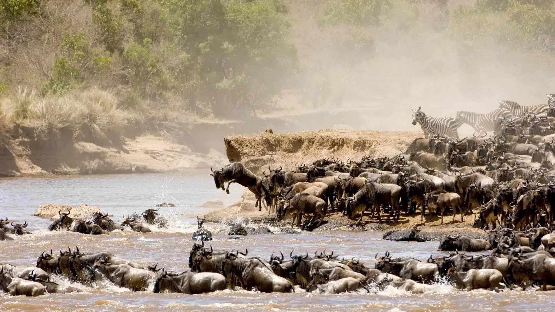 One Nature Mara River