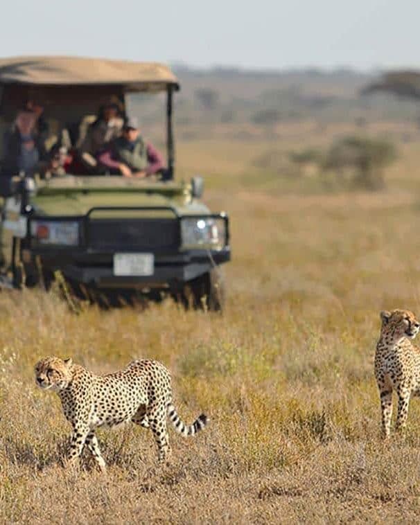 Mwiba & Namiri Plains